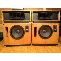 Altec nineteen